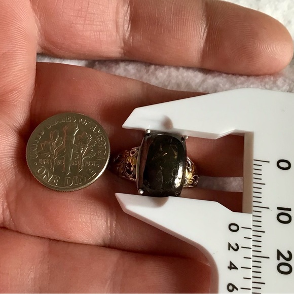 Shungite Ring in Platinum & Gold Over Brass - Picture 5 of 8